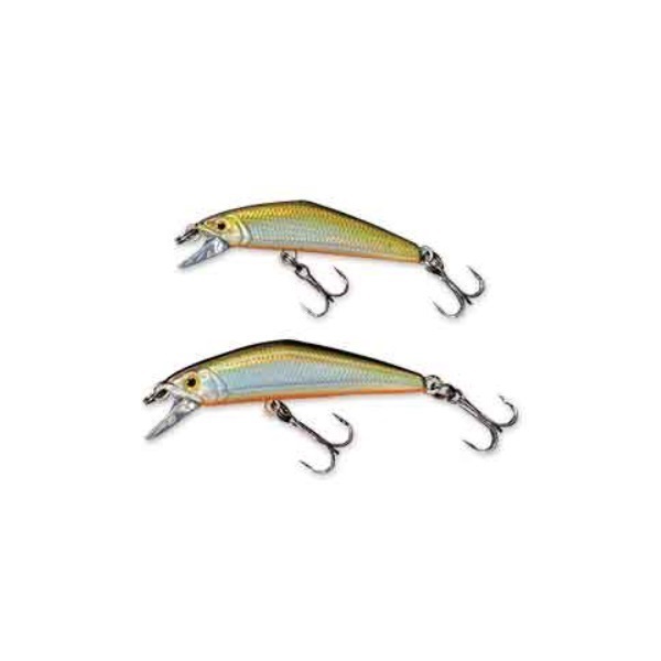 Ｄ－コンパクト　４５